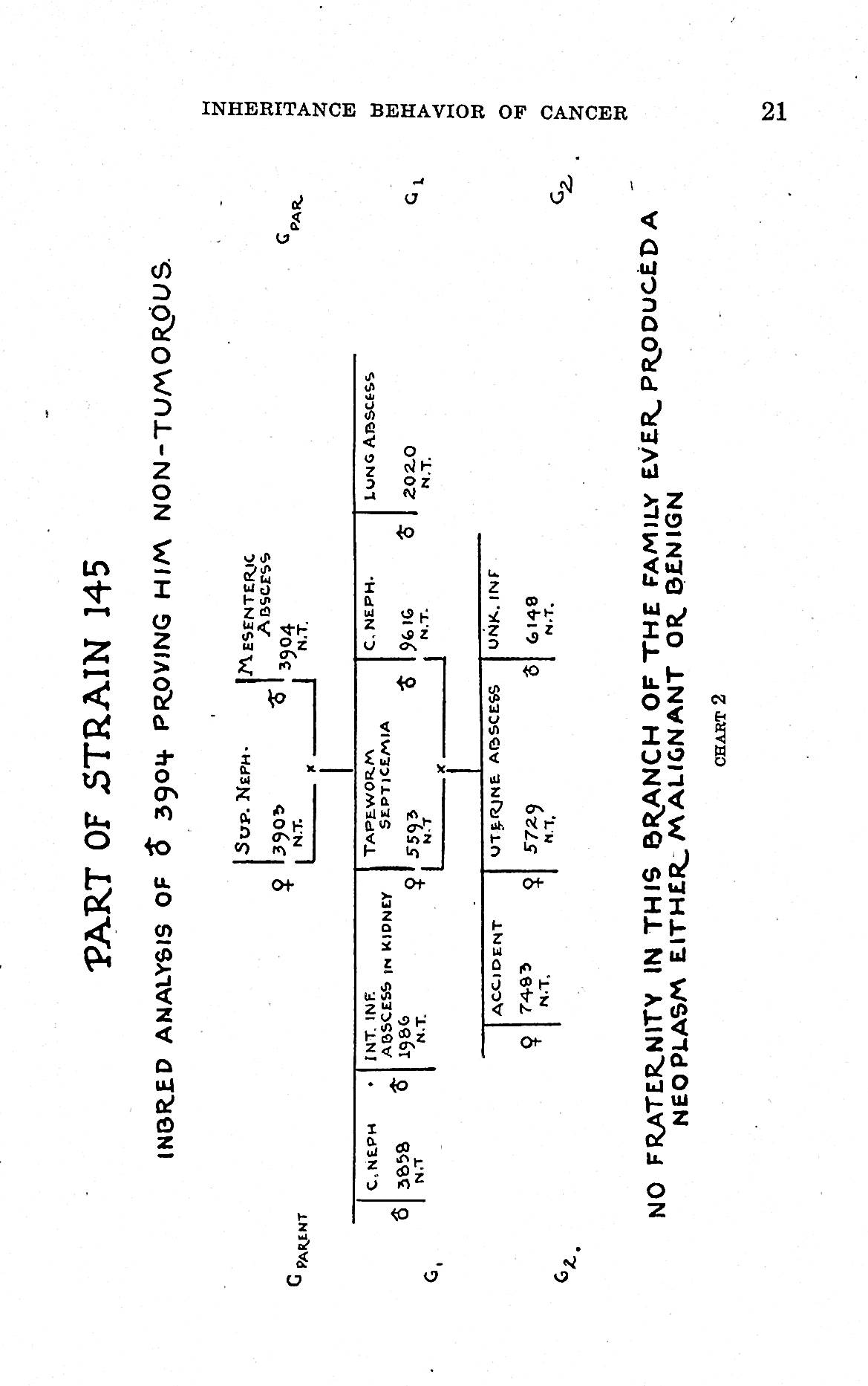 Image for The inheritance behavior of cancer as a simple Mendelian recessive TOGETHER WITH Some misconceptions regarding the relation of heredity to cancer and other diseases. Studies in the incidence and inheritability of spontaneous cancer in mice: 23rd report