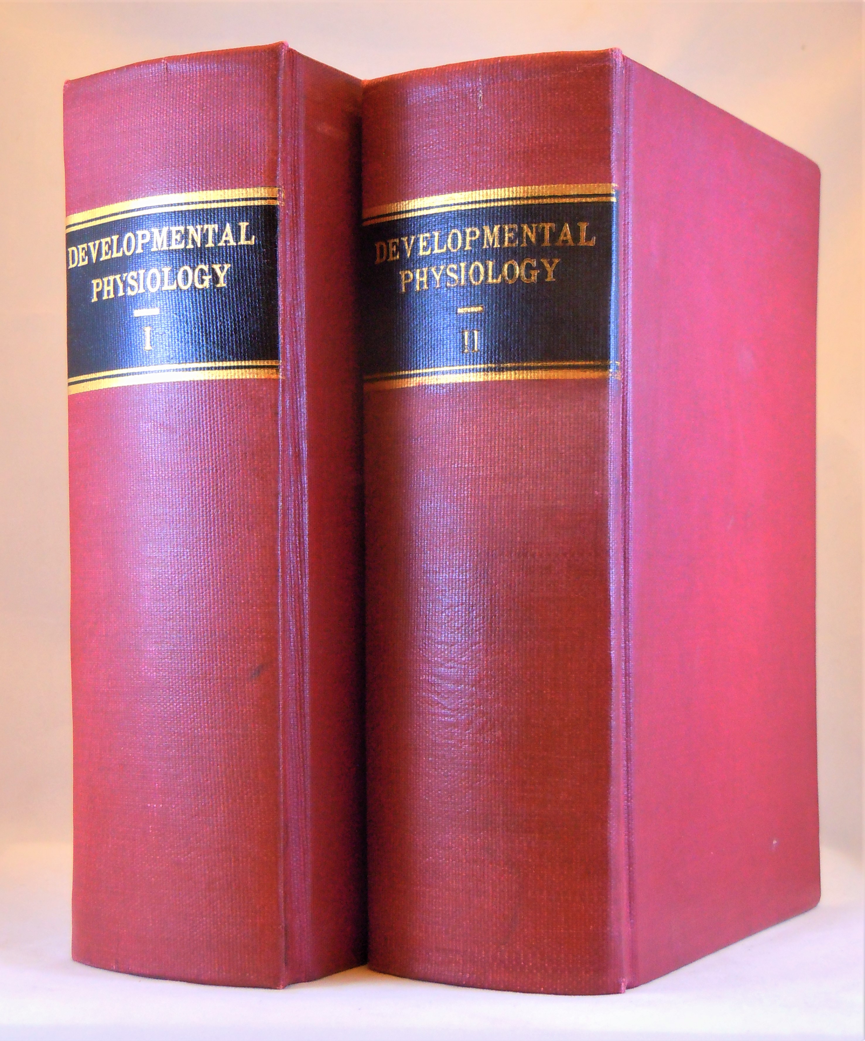 Image for A collection of offprints on experimental embryology and regeneration