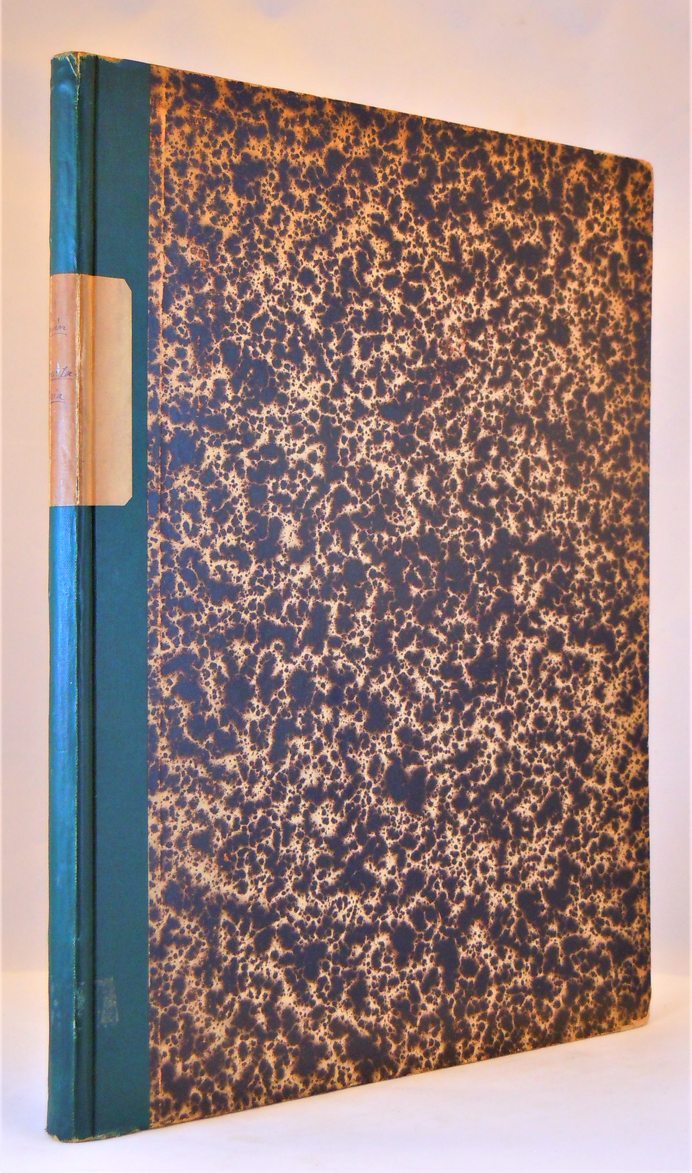 Image for On Pourtalesia. A Genus of Echinoidea