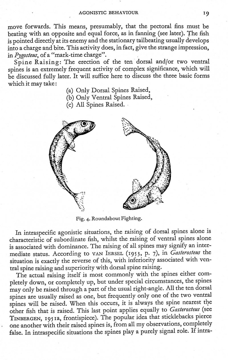 Image for The Reproductive Behaviour of the Ten-Spined Stickleback
