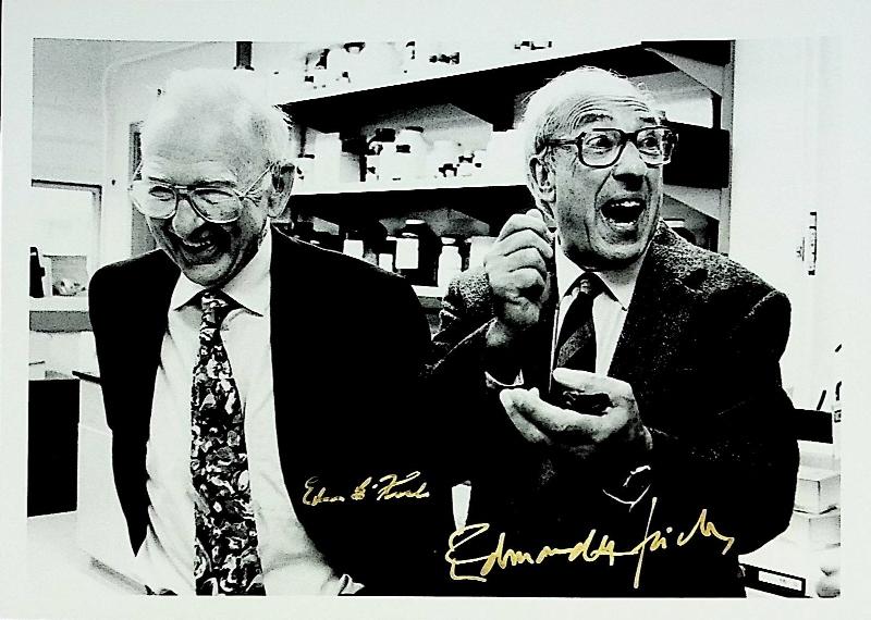 Image for Photograph of Nobel laureates Edmond H. Fischer and Edwin G. Krebs in a laboratory, signed by both scientists