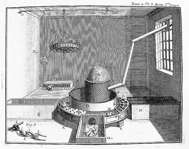 Image for Art de Faire Eclorre de d'Elever en Toute Saison des Oiseaux Domestiques de Toutes Especes, Soit par le Moyen de la Chaleur du Fumier, Soit par le Moyen de Celle du Feu Ordinaire