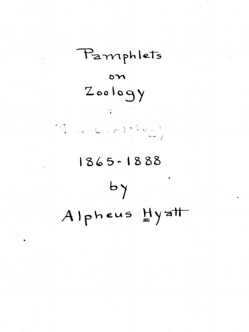 Image for Pamphlets on Zoology 1865-1888