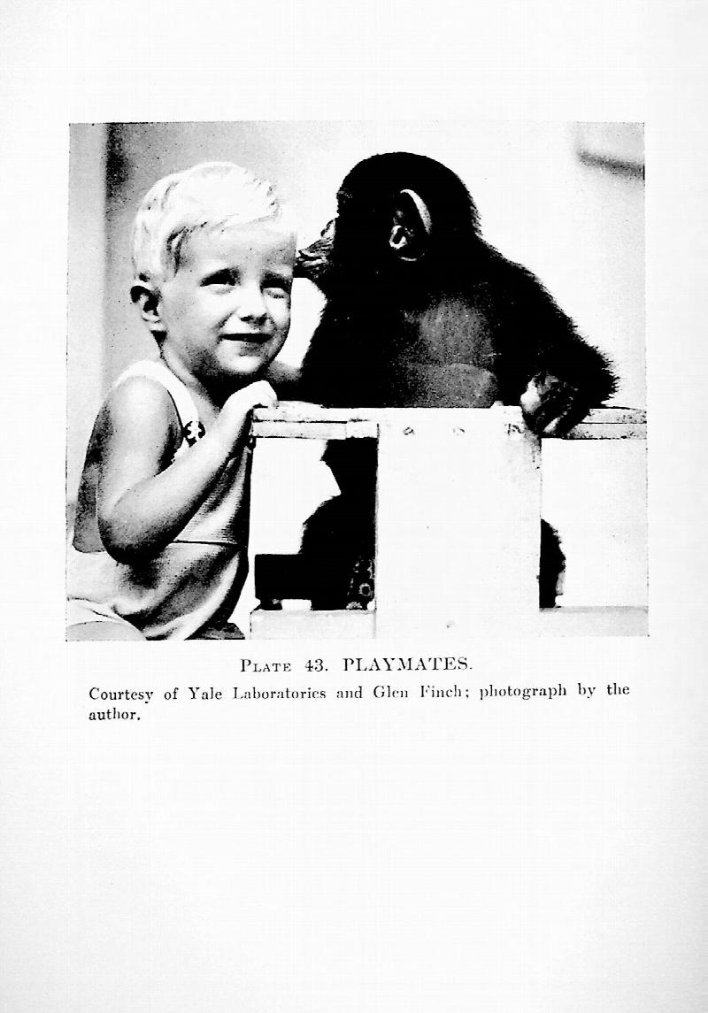Image for Chimpanzees: A Laboratory Colony