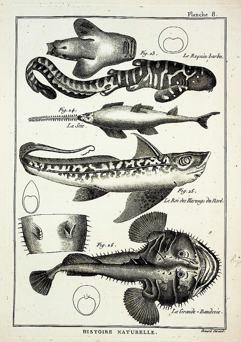Image for Tableau Encyclopedique et Methodique des Trois Regnes de la Nature. Ichthyologie
