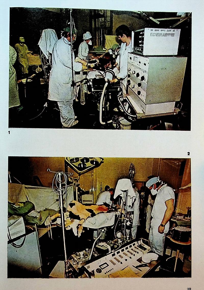 Image for Brno-Experiments in Long Term Survival with Total Artificial Heart