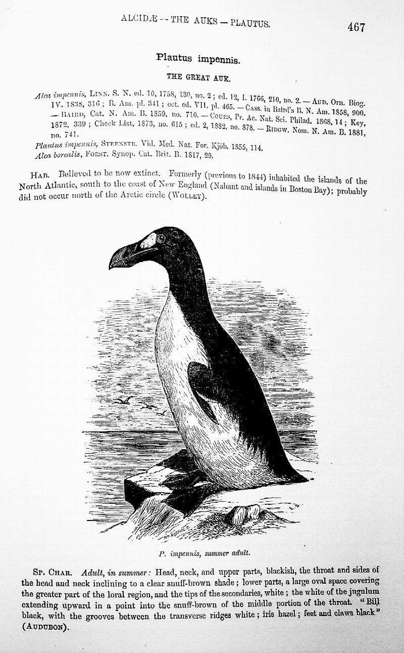 Image for The Water Birds of North America