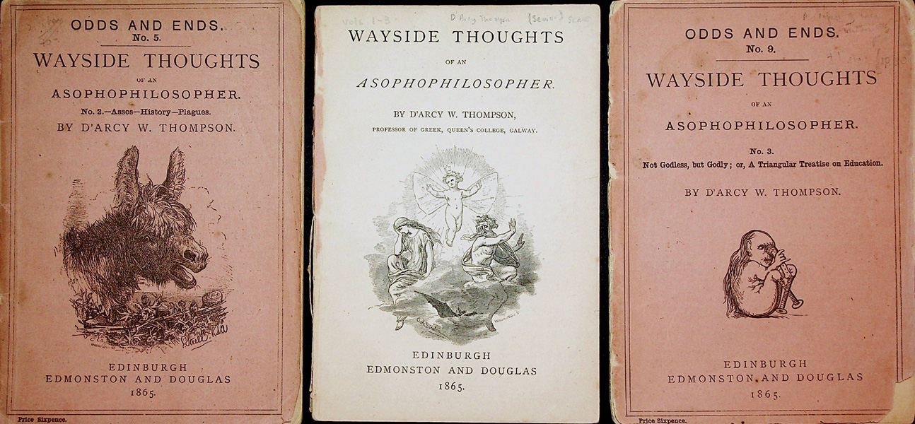 Image for Wayside Thoughts of an Asophophilosopher, No. 1. Rainy Weather; or, the Philosophy of Sorrow; Gooseskin; or, the Philosophy of Horror; Te Deum Laudamus; or, the Philosophy of Joy; No. 2. On Asses and the Life Asinine; On History; On Plagues; No. 3. Not Godless but Godly: A Triangular Essay on Education. The Schools and Colleges of the United Kingdom.
