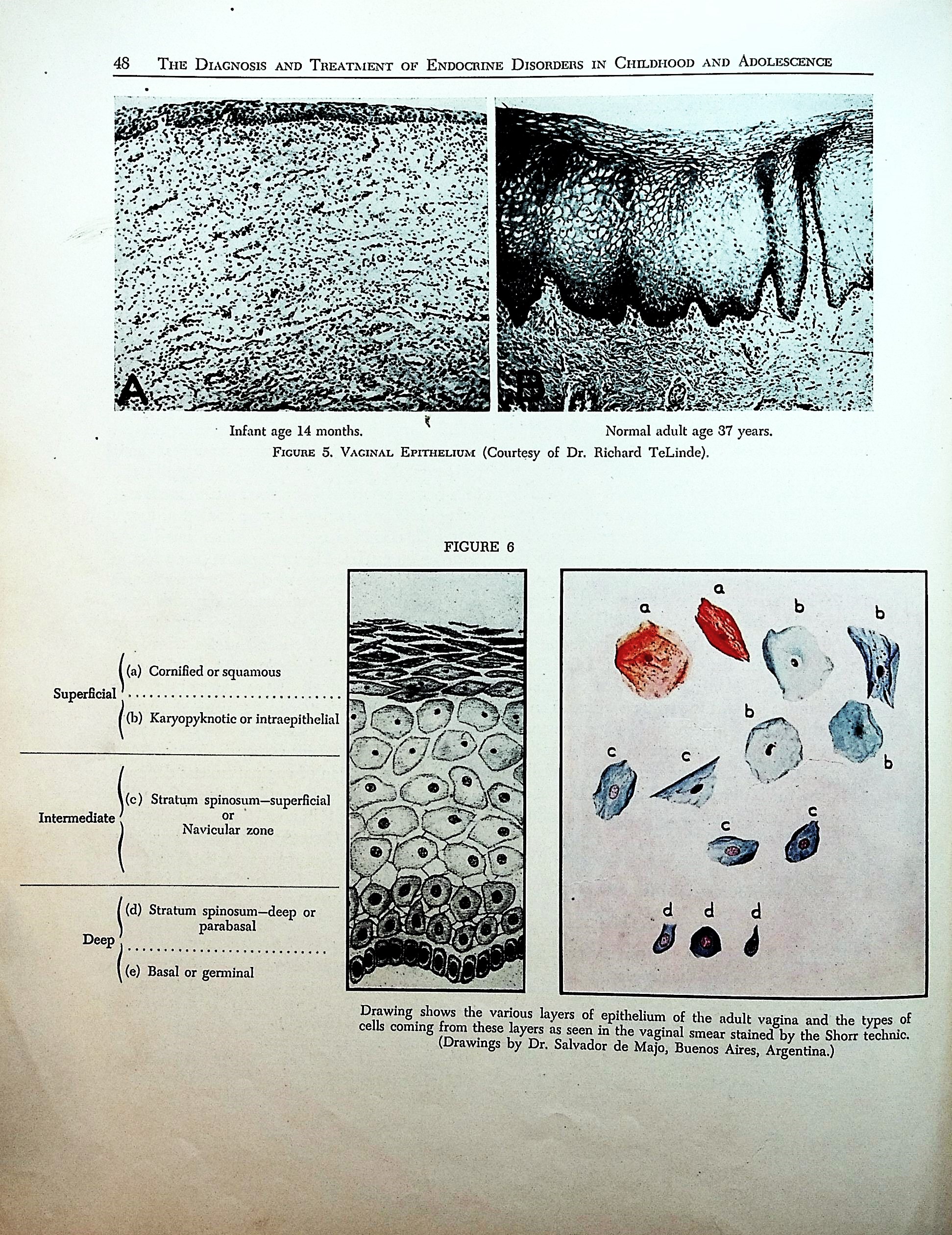 The Diagnosis and Treatment of Endocrine Disorders in Childhood and ...