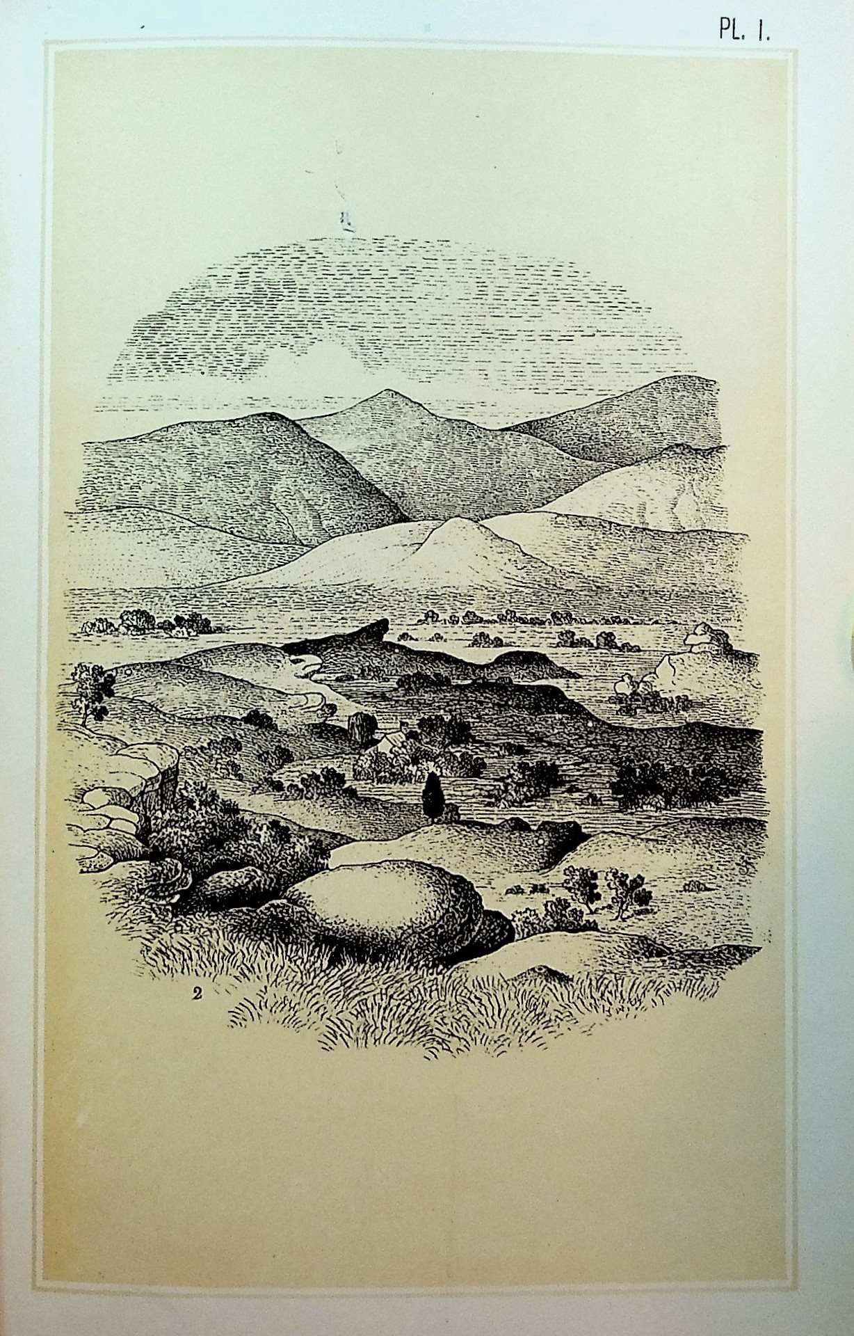 The Honey Ants of the Garden of the Gods, and the Occident Ants of the American Plains
