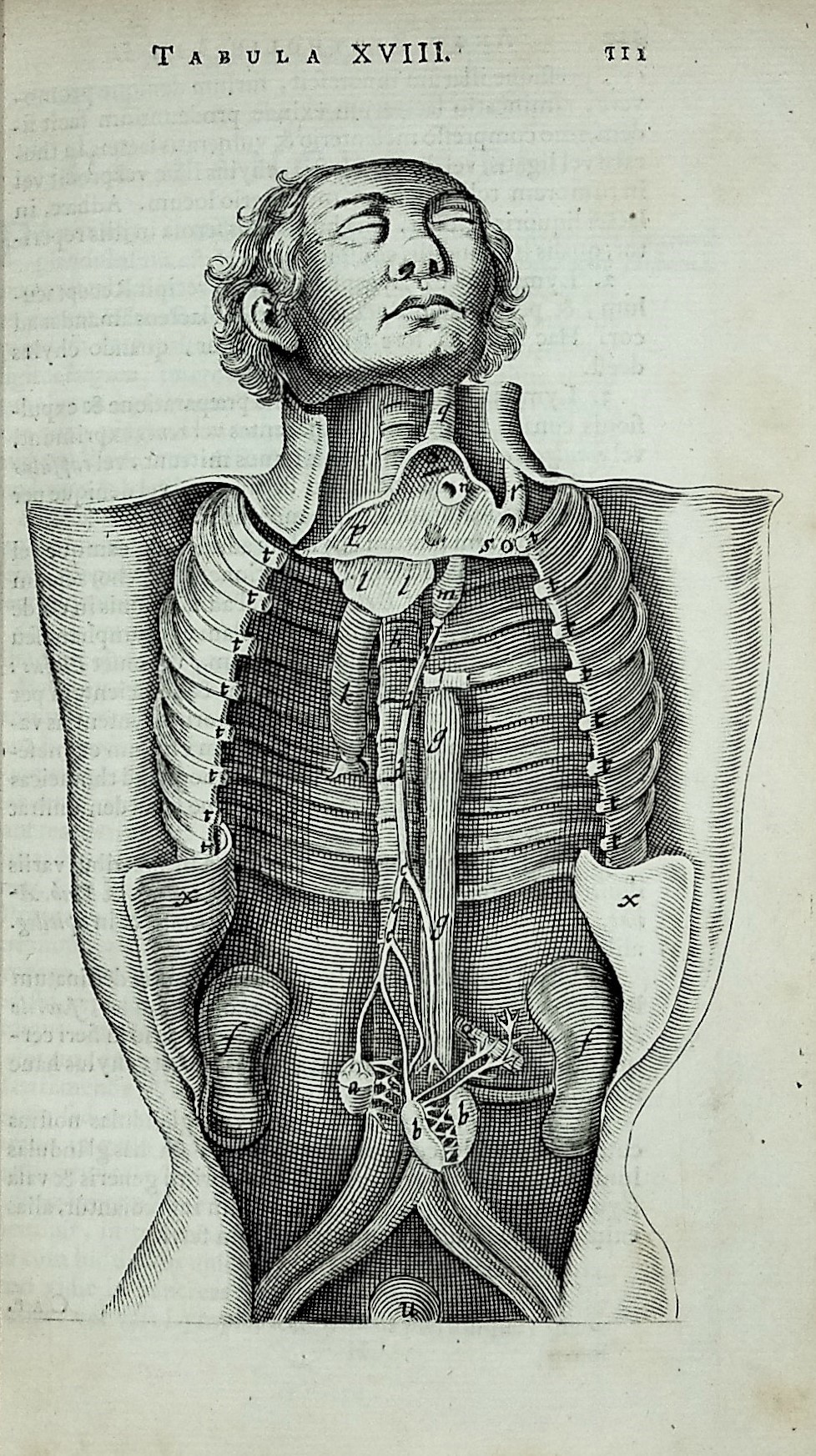Thomae Bartholini anatome ex omnium veterum recentiorumque observationibus : imprimis institutionibus b. m. parentis Caspari Bartholini, ad circulationem Harvejanam, et vasa lymphatica quartum renovate, cum iconibus novis & inducibus [The anatomy of Thomas Bartholin comprising all the early and curr