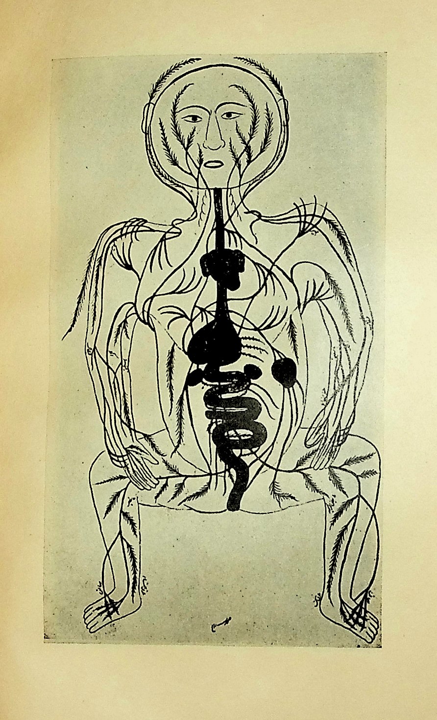 The Principles of Anatomic Illustration Before Vesalius: An Inquiry into the Rationale of Artistic Anatomy