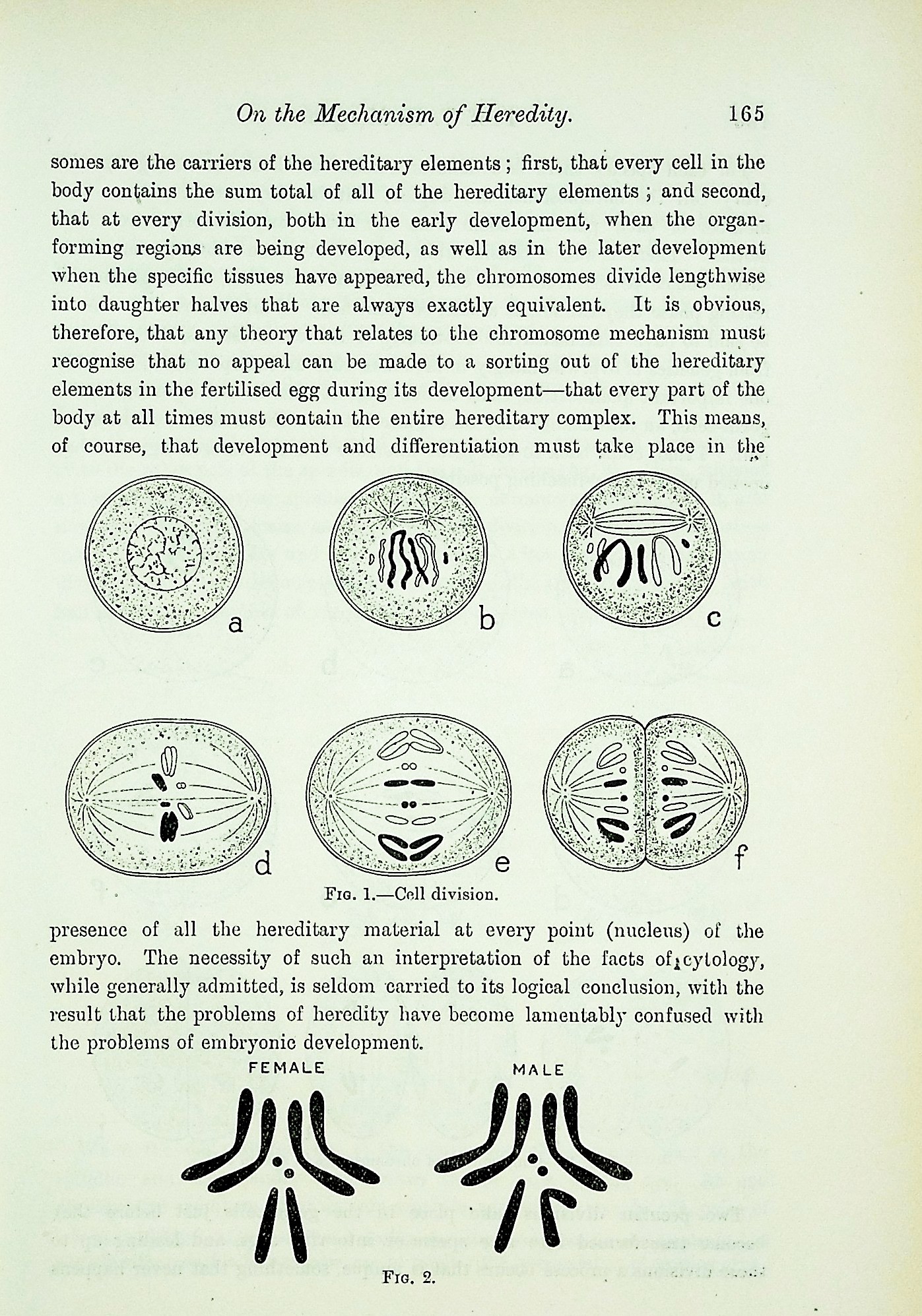 Croonian Lecture--On the Mechanism of Heredity (Proc Roy Soc Lon 01 December 1922 Volume 94 Issue 659:162-197)
