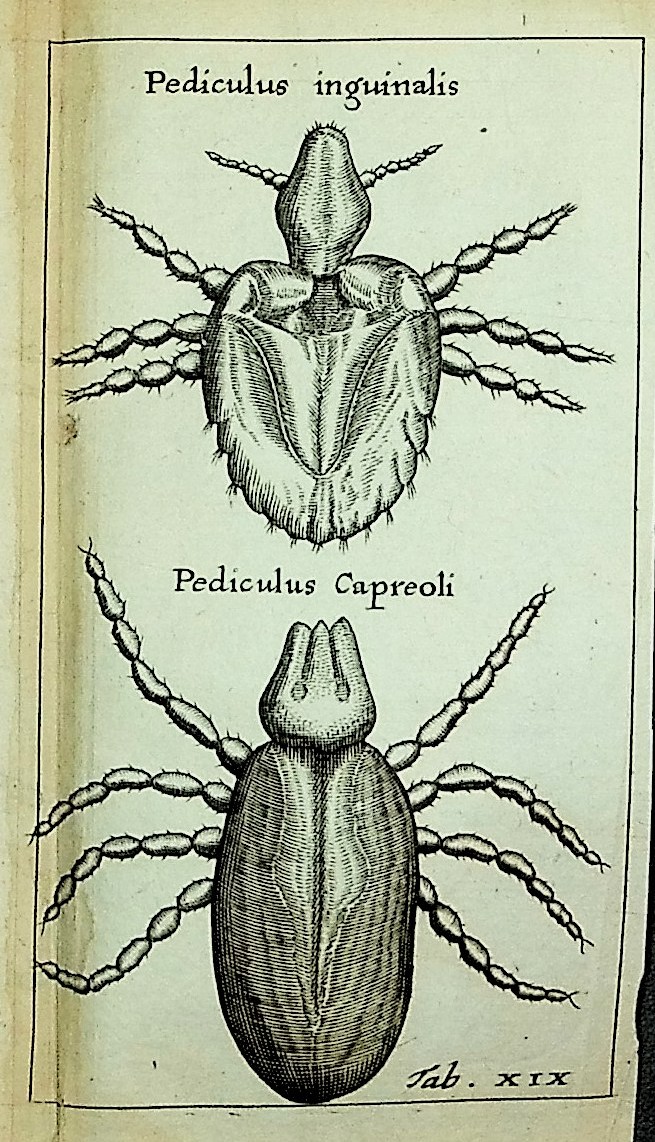 Experimenta Circa Generationem Insectorum [Experiments On the ...