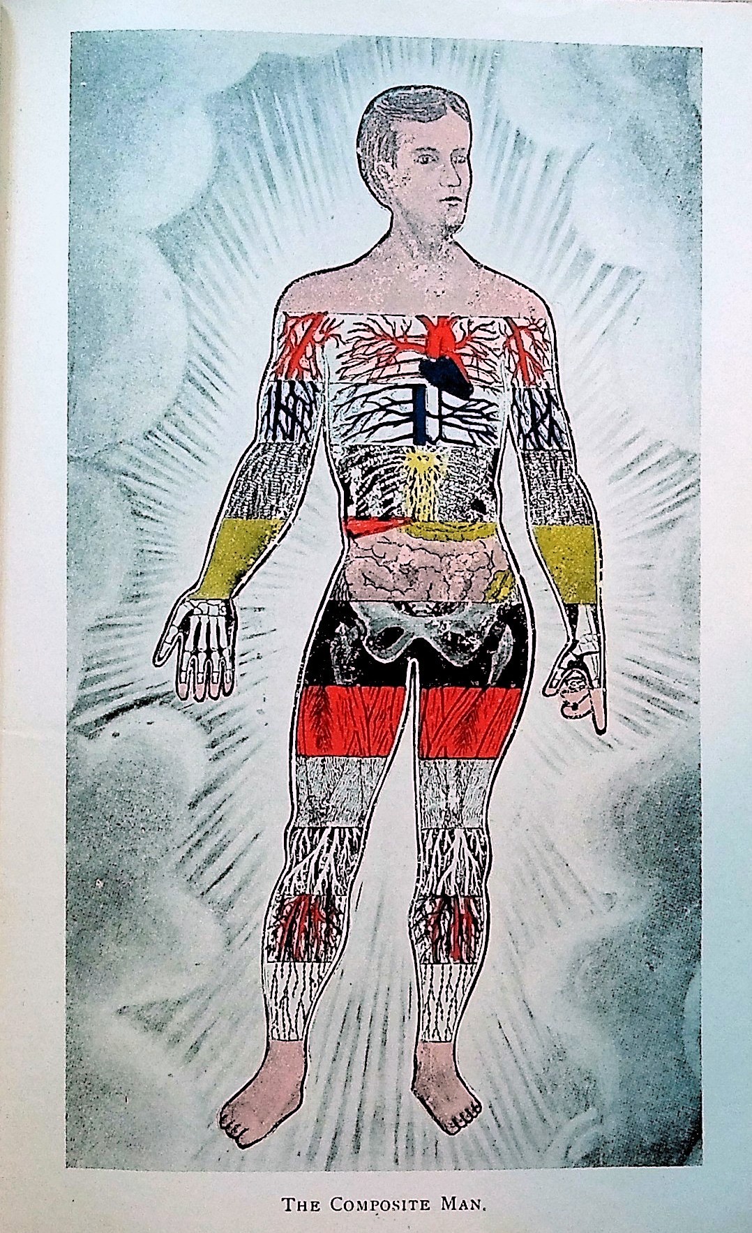 The Composite Man as Comprehended in Fourteen Anatomical Impersonations