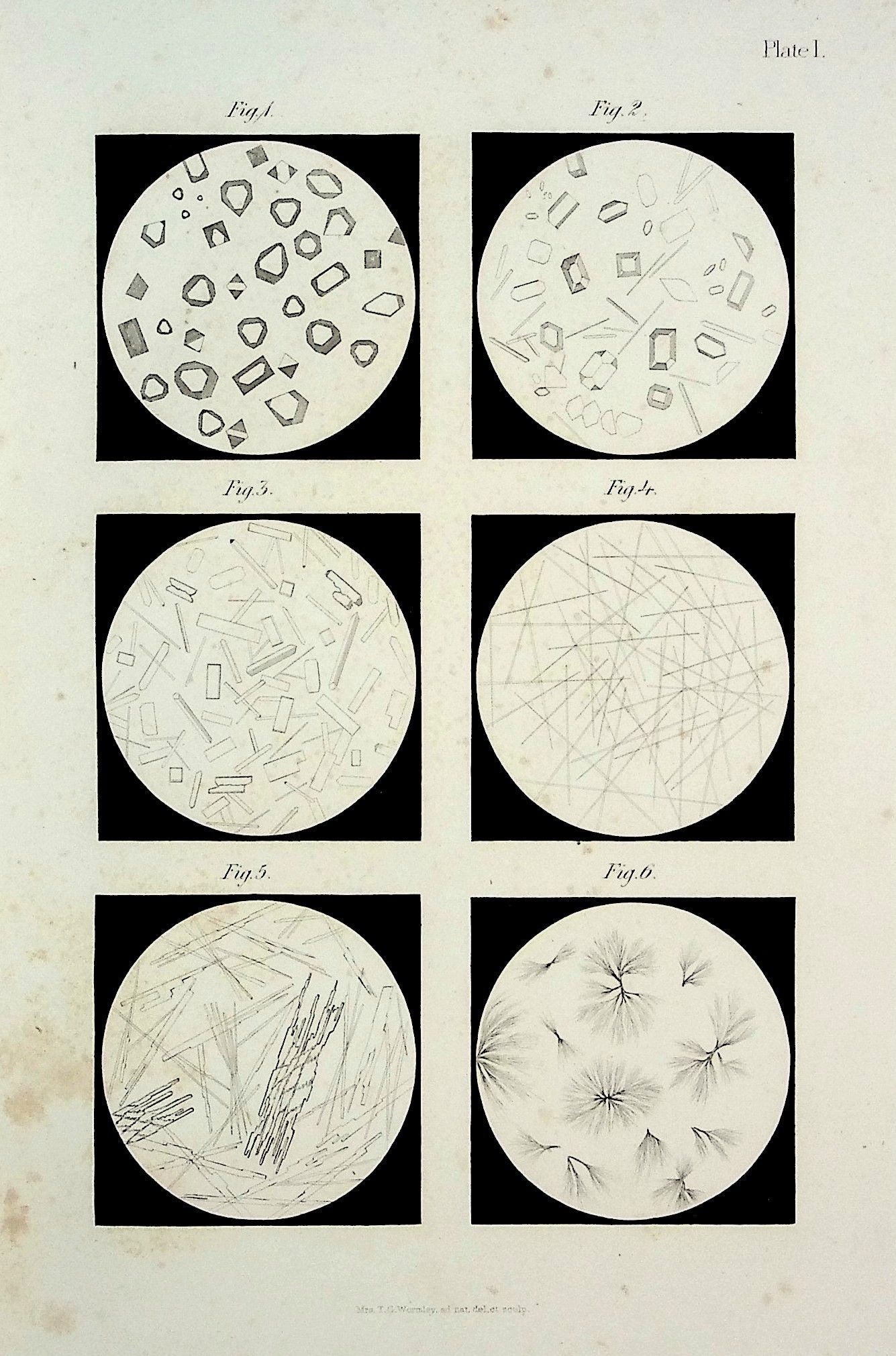 Micro-Chemistry of Poisons, including their Physiological, Pathological, and Legal Relations: adapted to the Use of the Medical Jurist, Physician, and General Chemist, with 78 illustrations upon steel