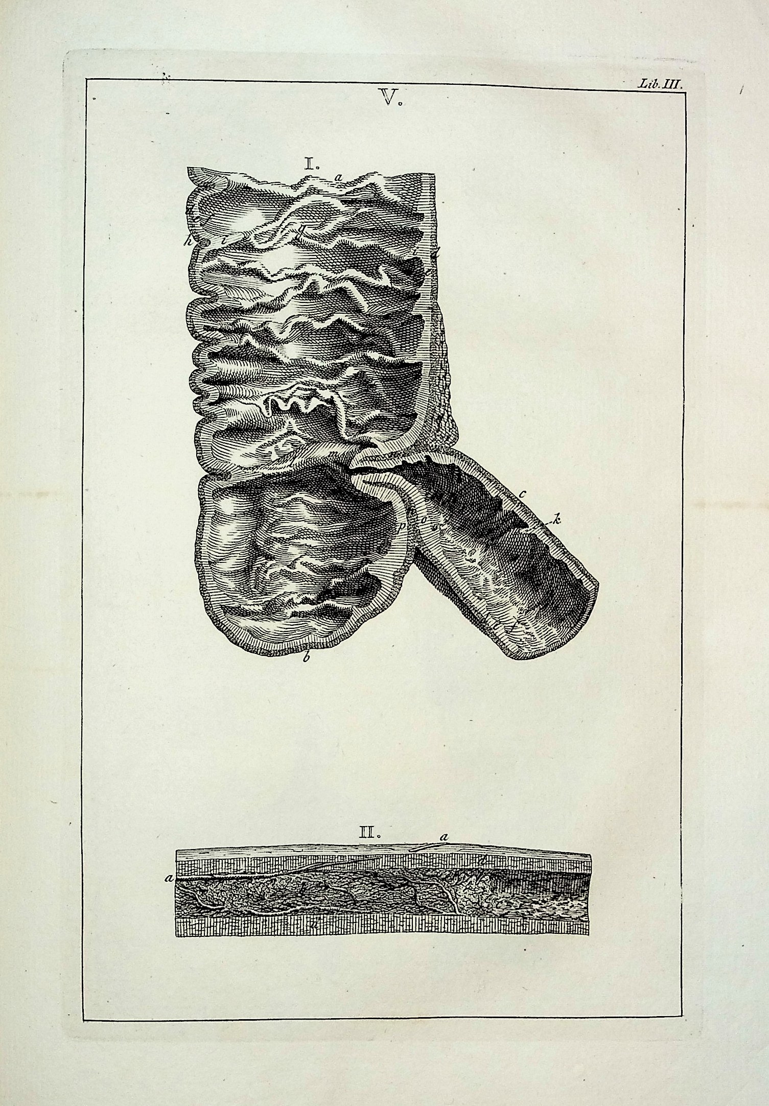 Academicarum Annotationum Vol. I: Liber Primus Continet anatomica, physiologica, zoographica, phytographica; Liber Secundus Continet anatomica, physiologica, pathologica; Liber Tertius, Continet anatomica, physiologica, pathologica, zoographica; Liber Quartus Continet anatomica, physiologica, pathol