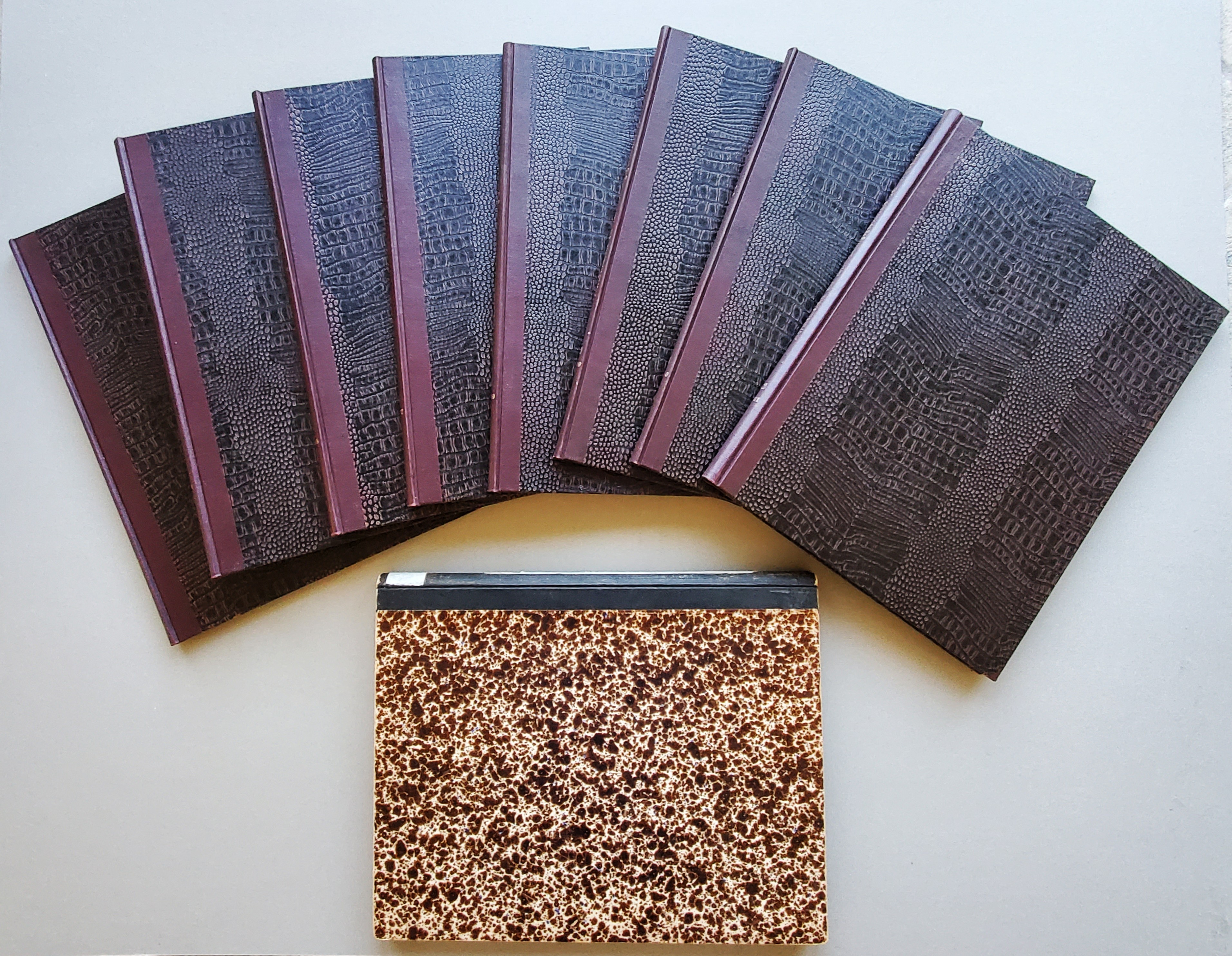 Normentafeln zur Entwicklungsgeschichte der Wirbelthiere [Normal Plates of the Development of the Vertebrates]. Vol I. Pig, Sus scrofa domesticus, Franz Keibel (1897); Vol. II. Chicken, Gallus domesticus, Franz Keibel, Karl Abraham (1900); Vol. V. Rabbit, Lepus cuniculus, Charles S. Minot, Ewing Tay