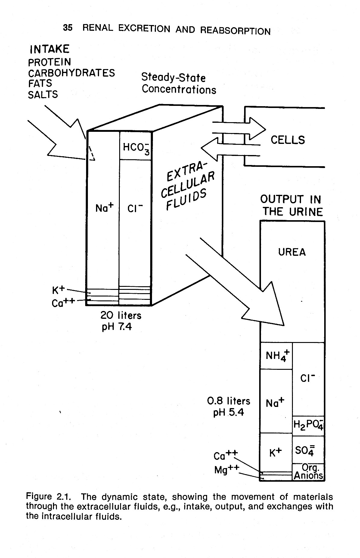Acid-Base Physiology: A Direct Approach