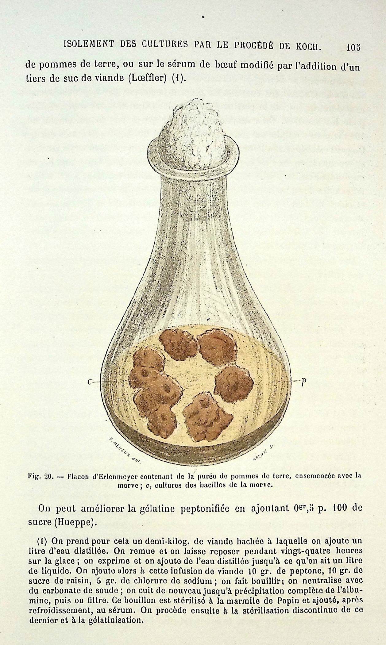 Les Bacteries et lur role dans l'Anatomie et l'Histologie Pathologiques des Maladies Infectieuses [The Bacteria and their role in the Pathologic Anatomy and Histology of Infectious Diseases]