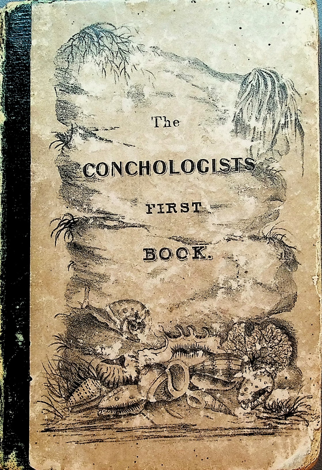The Conchologist's First Book: or, A System of Testaceous Malacology, Arranged Expressly for the use of Schools, in which the Animals, According to Cuvier, Are Given With the Shells, A Great Number of New Species Added, and the Whole Brought Up, as Accurately as Possible, to the Present Condition of