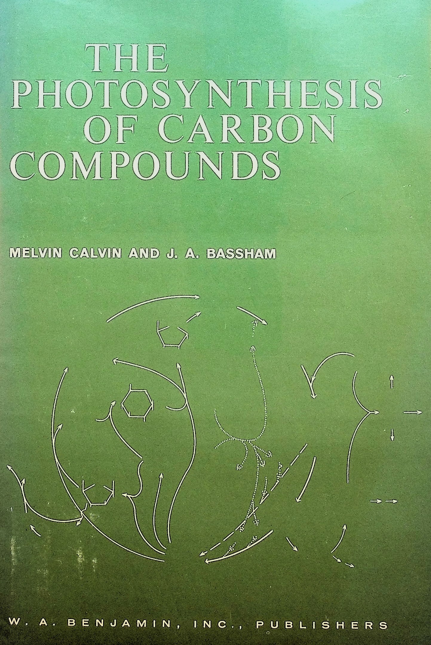 The Photosynthesis of Carbon Compounds
