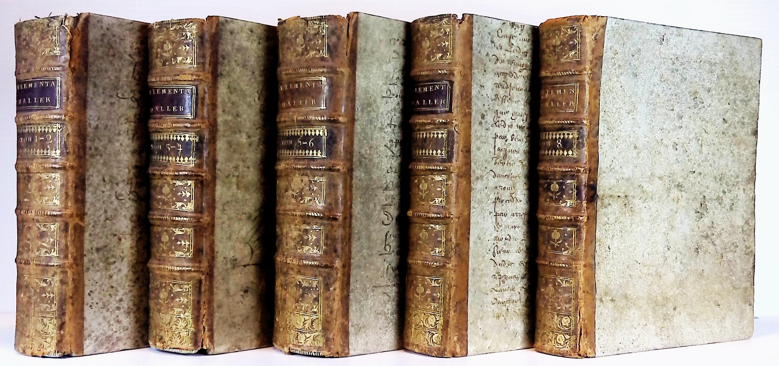 Elementa Physiologiae Corporis Humani [Elements of Physiology of the Human Body]