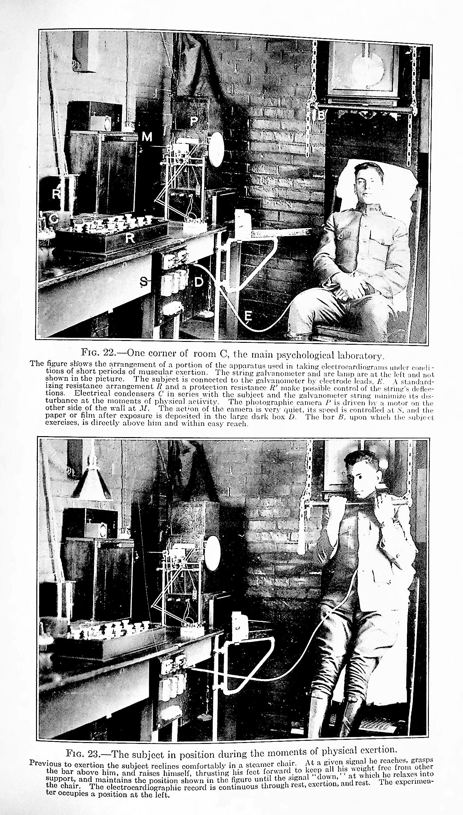 The Influence of Inanition on Metabolism, TOGETHER WITH A Study of Prolonged Fasting, TOGETHER WITH Human Vitality and Efficiency Under Prolonged Restricted Diet