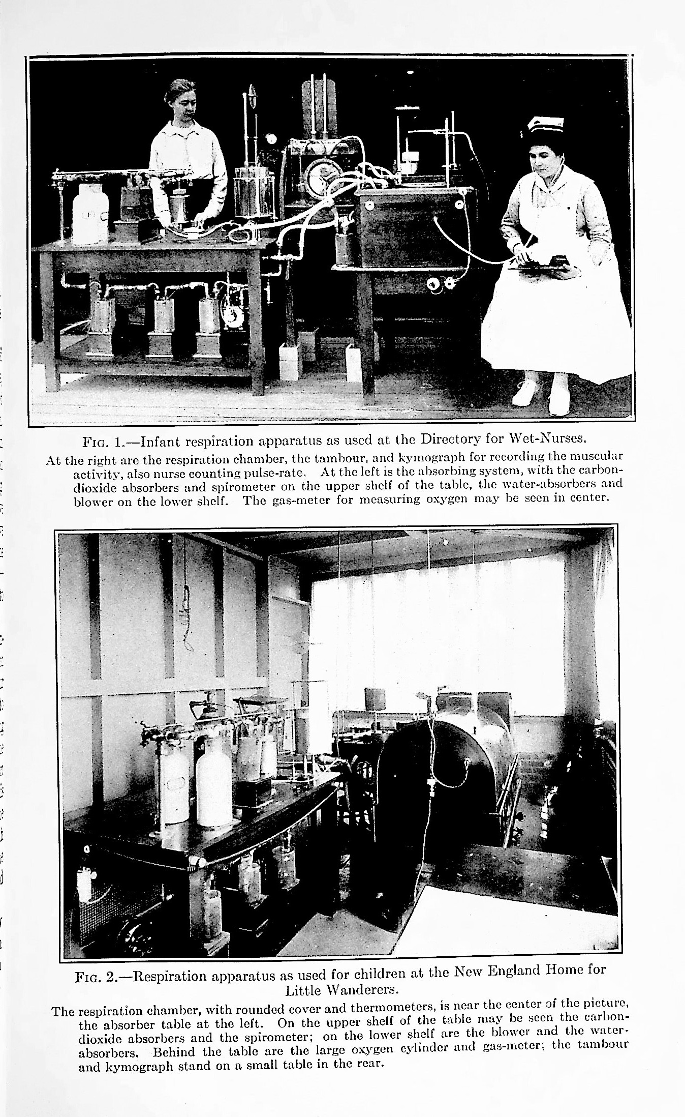 1) The Gaseous Metabolism of Infants: With Special Reference to Its Relation to Pulse-Rate and Muscular Activity; 2) The Physiology of the New-Born Infant: Character and Amount of the Katabolism [sic]; 3) Metabolism and Growth from Birth to Puberty