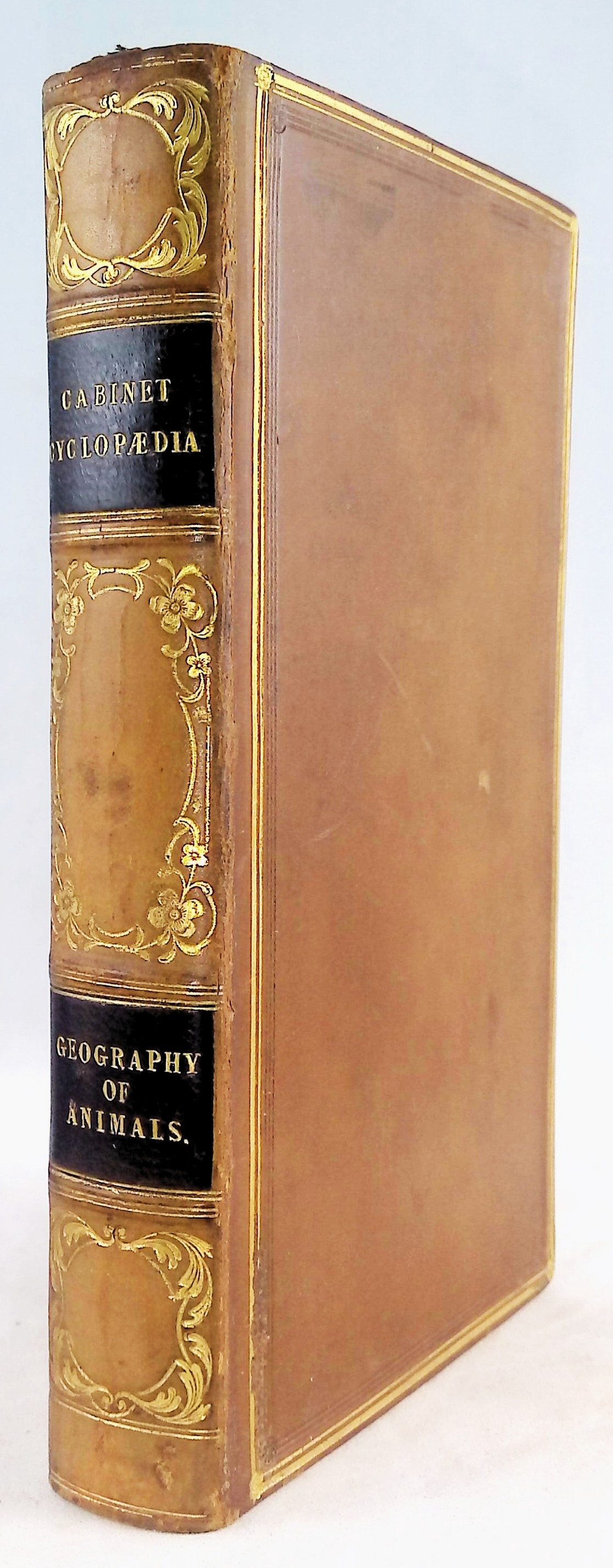 A Treatise on the Geography and Classification of Animals