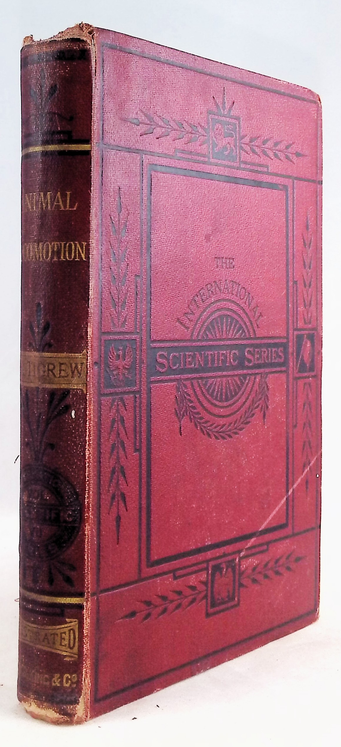 Animal Locomotion or Walking, Swimming, and Flying, witha Dissertation on Aeronoautics
