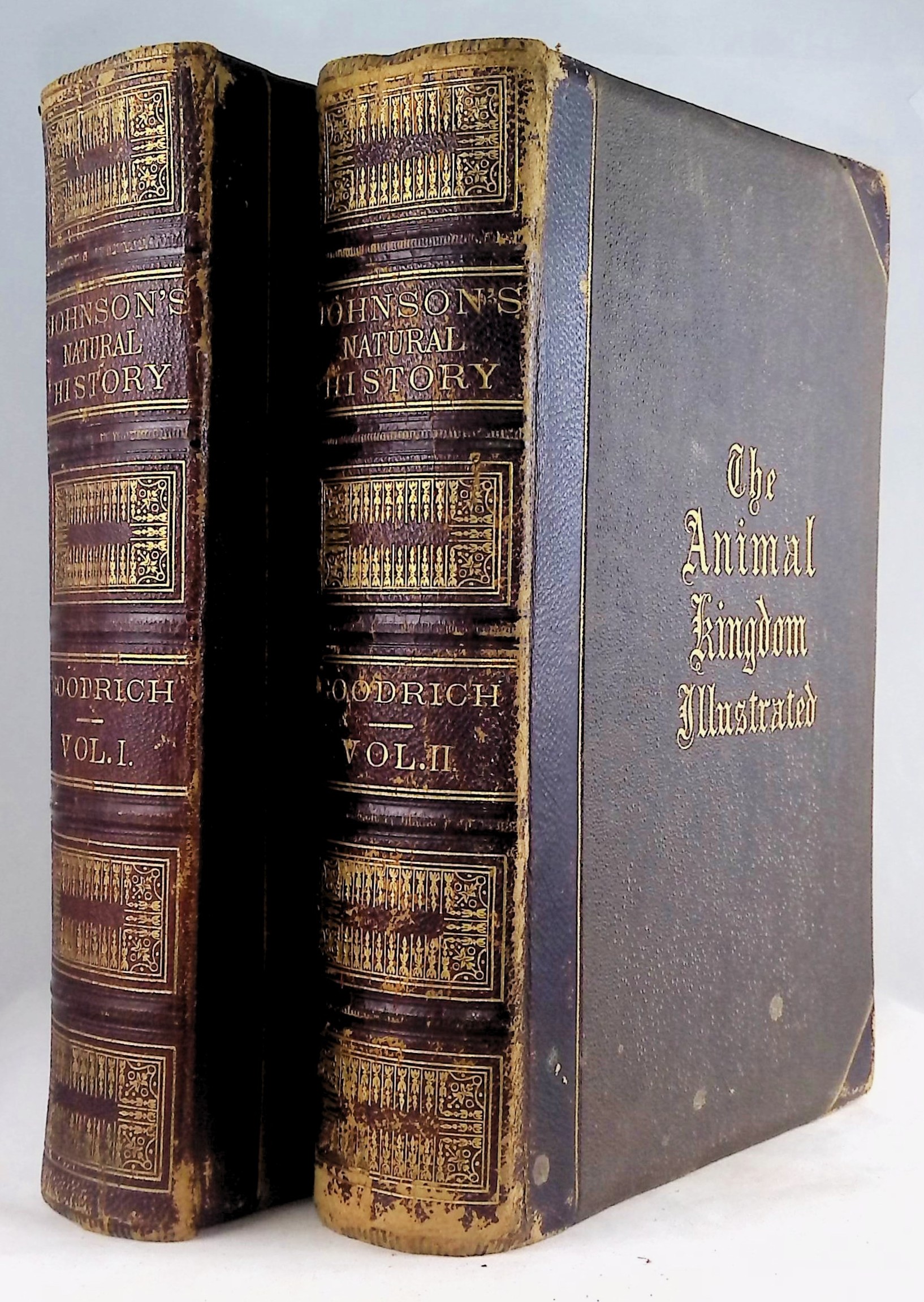 Johnson's Natural History, Comprehensive, Scientific, and popular, Illustrating and Describing the Animal Kingdom, with its Wonders and Curiosities, from Man, Through all the Divisions, Classes, and Orders, to the Animalculae in a Drop of Water; showing the Habits, Structure, and Clssification of An