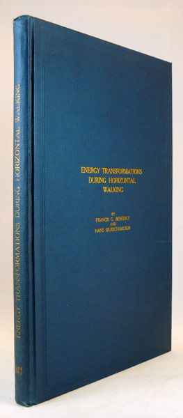 Image for Energy Transformations During Horizontal Walking