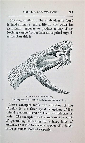 Paley s Natural Theology Revised To Harmonize With Modern Science
