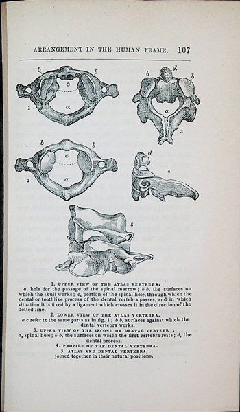 Paley s Natural Theology Revised To Harmonize With Modern Science