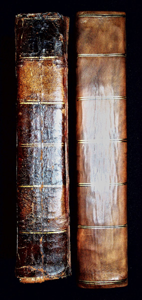 Image for Human Physiology, illustrated by numerous engravings