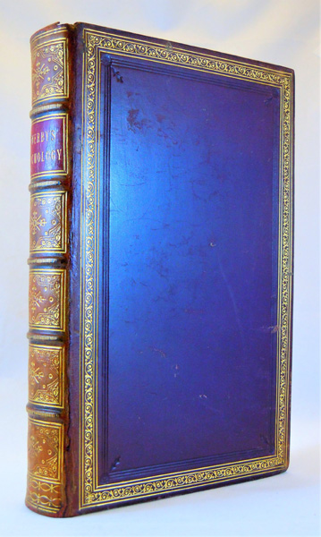 A Conchological Manual Image for A Conchological Manual