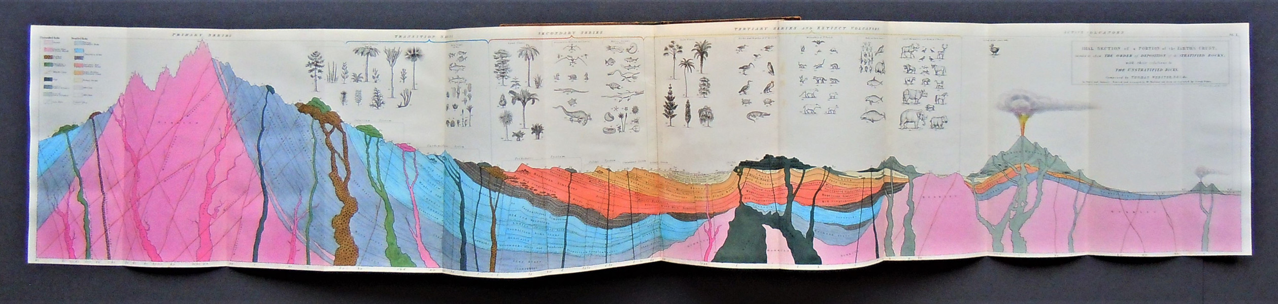 Image for The Bridgewater Treatises: On the Power, Wisdom, and Goodness of God, as Manifested in the Creation