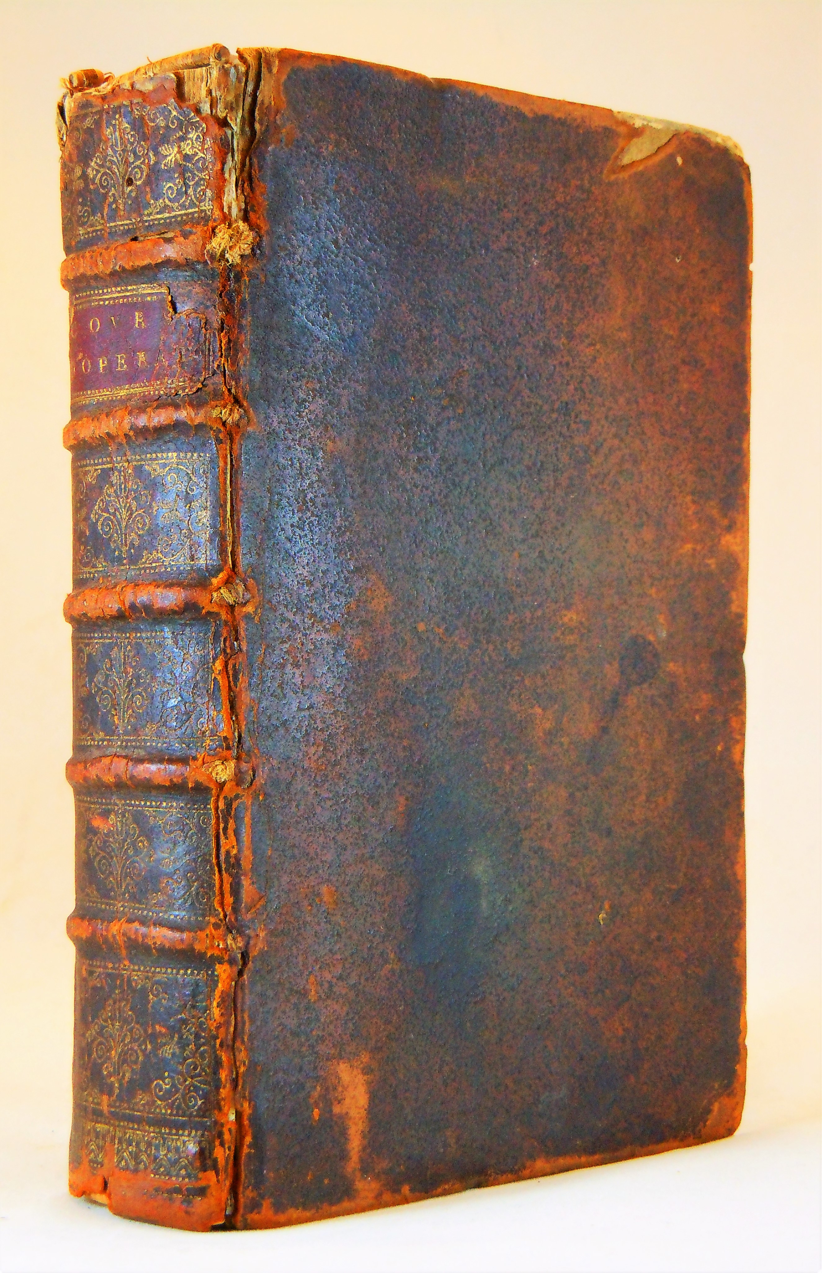 Thumbnail Image