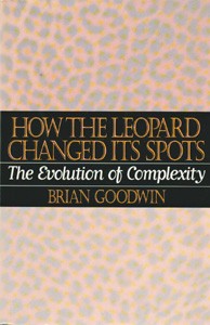 Image for How the Leopard Changed Its Spots: The Evolution of Complexity