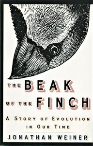 Image for The Beak of the Finch: A Story of Evolution in Our Time