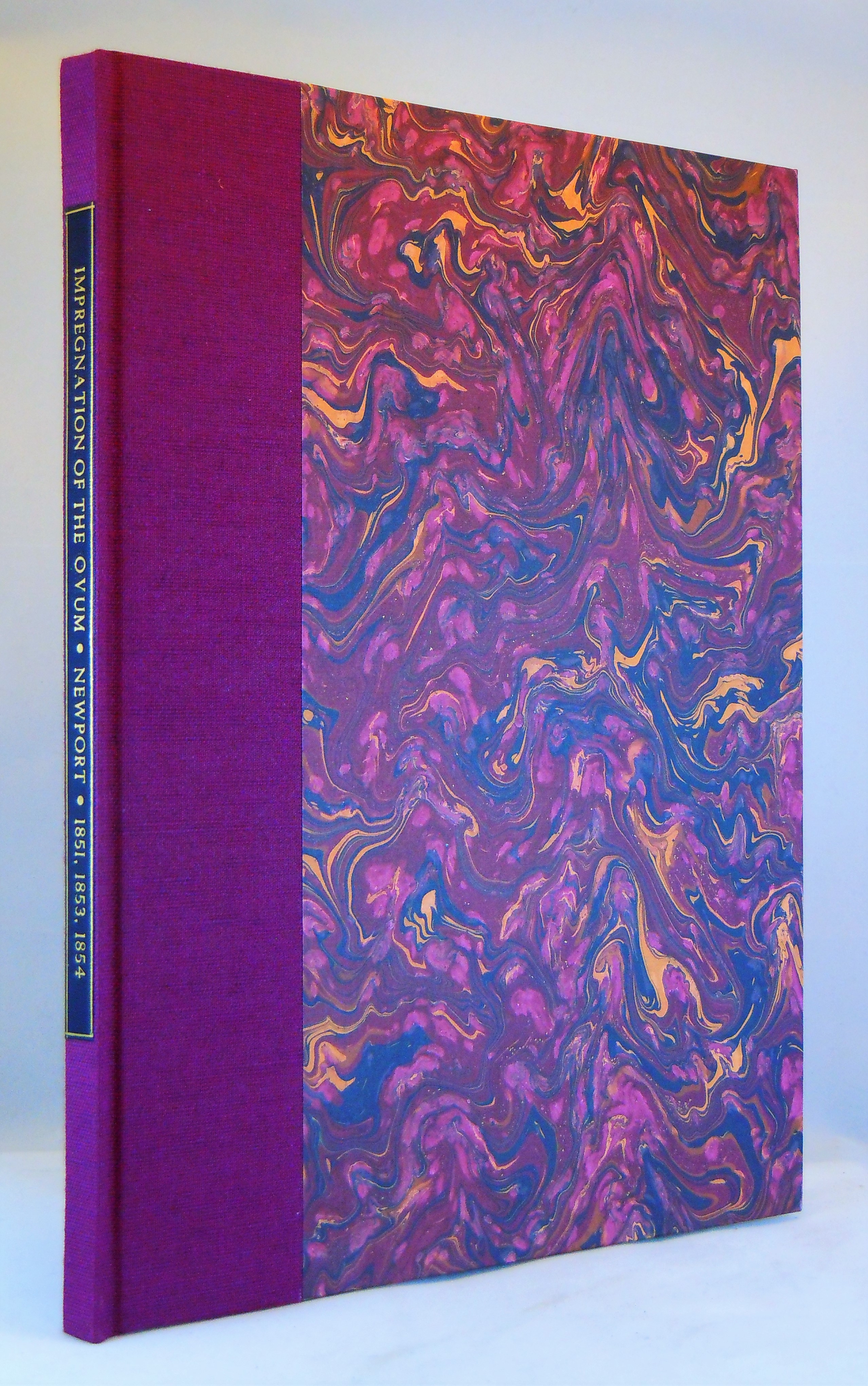Image for On the Impregnation of the Ovum in the Amphibia, together with On the Impregnation of the Ovum in the Amphibia; and on the Direct Agency of the Spermatozoon, together with Researches on the Impregnation of the Ovum int the Amphibia; and on the Early Stages of Development of the Embryo