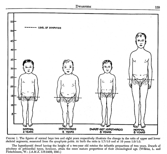 Image for The Diagnosis and Treatment of Endocrine Disorders in Childhood and Adolescence