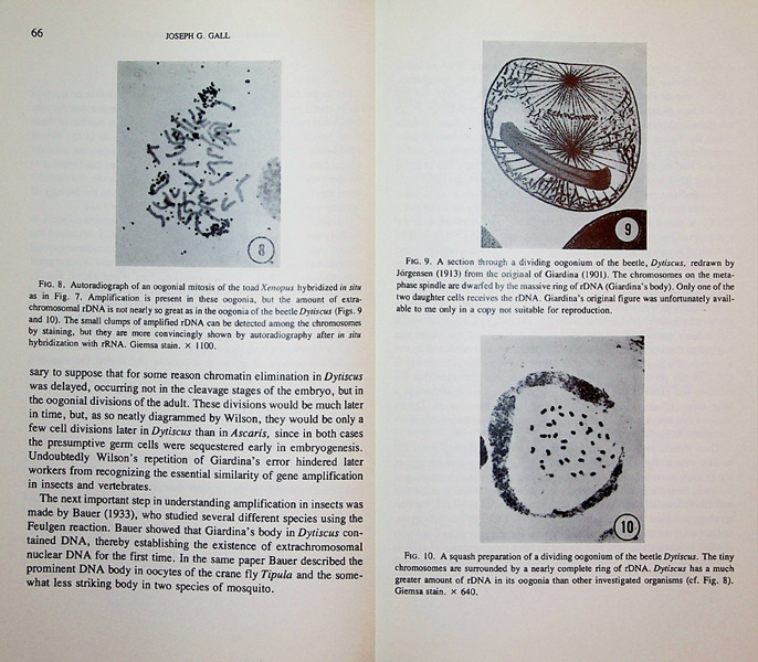 Image for The Harvey Lectures delivered under the auspices of the Harvey Society of New York, Series 71