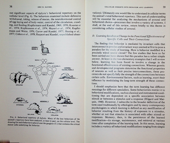 Image for The Harvey Lectures delivered under the auspices of the Harvey Society of New York, Series 73