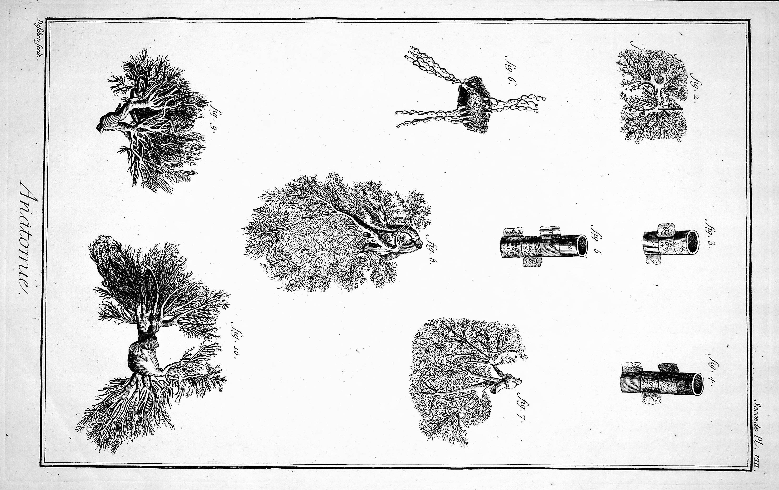 Image for Encyclopedie, Plate IX no. 2. Trunk of the portal vein, spinal column, after Huber TOGETHER WITH Plate VIII No. 2. Details of arteries and veins