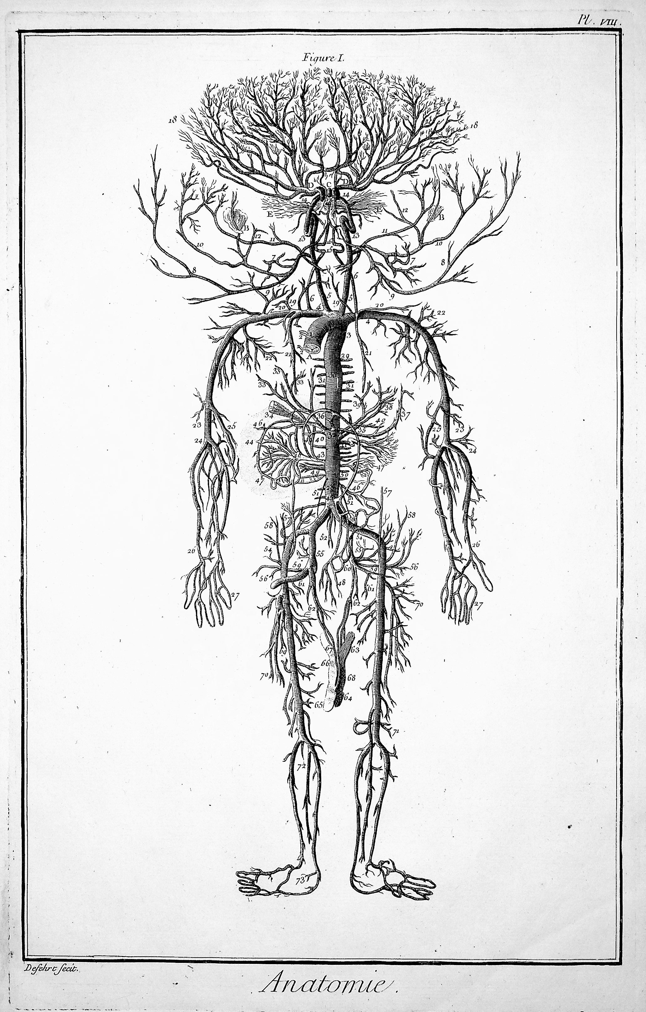 Image for Encyclopedie, Anatomie Plate VIII. The arteries, after Drake TOGETHER WITH Plate IX. Trunks of the vena cava with their branches dissected in the body of an adult, &c, after Philosophic Transactions