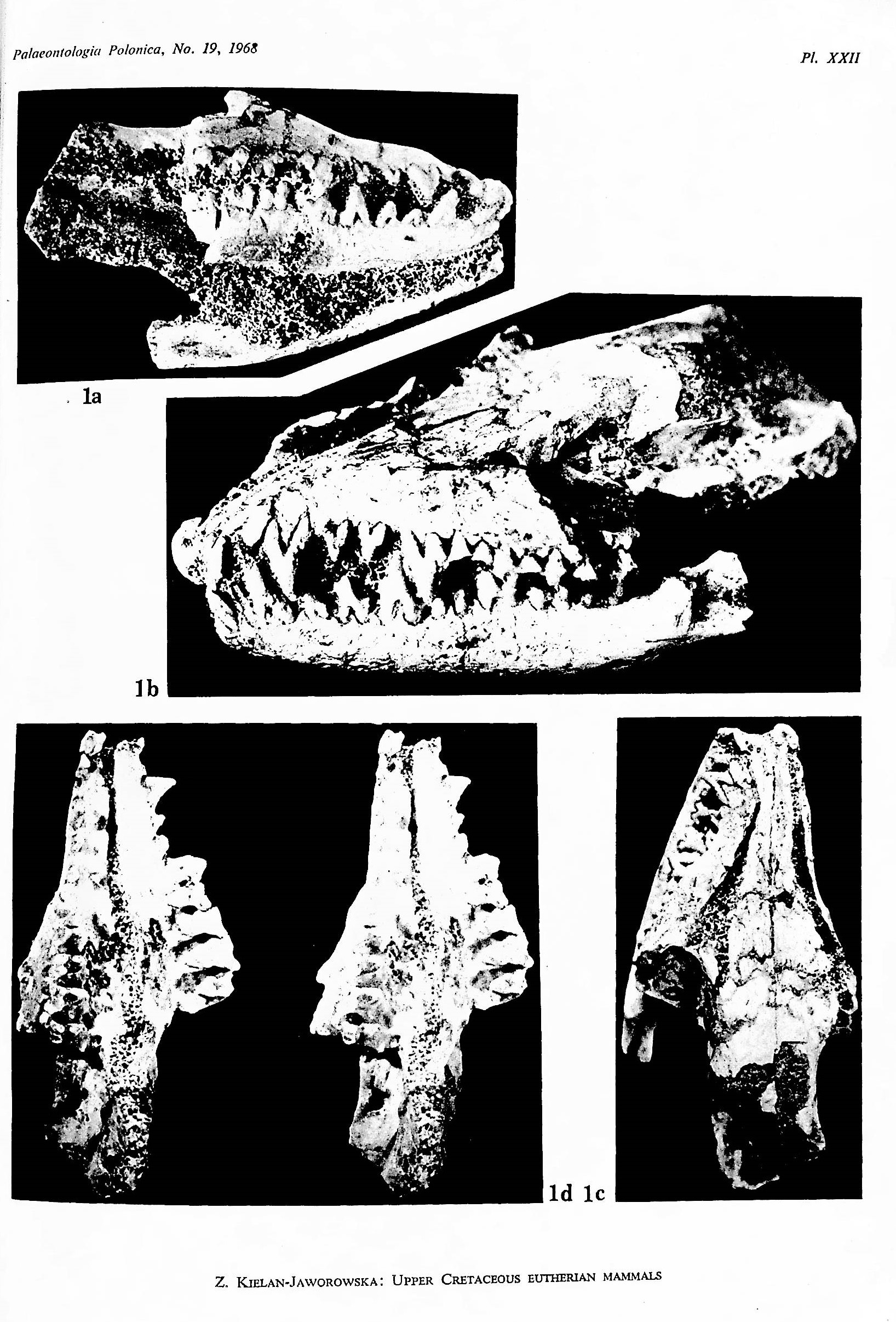 Image for Results of the Polish-Mongolian Palaeontological Expeditions. Parts I-X (in 15 parts), Zofia Kielan-Jaworowska, editor